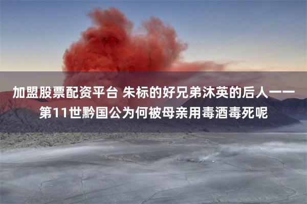 加盟股票配资平台 朱标的好兄弟沐英的后人一一第11世黔国公为何被母亲用毒酒毒死呢
