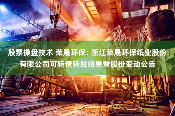 股票操盘技术 荣晟环保: 浙江荣晟环保纸业股份有限公司可转债转股结果暨股份变动公告