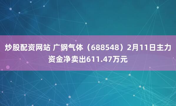 炒股配资网站 广钢气体（688548）2月11日主力资金净卖出611.47万元