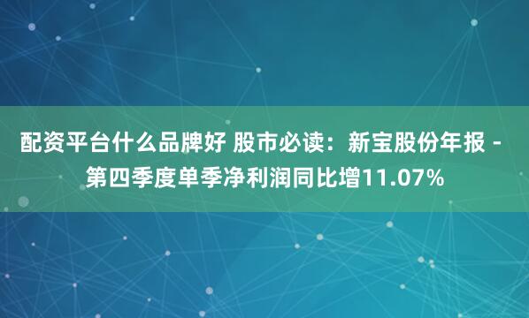 配资平台什么品牌好 股市必读：新宝股份年报 - 第四季度单季净利润同比增11.07%
