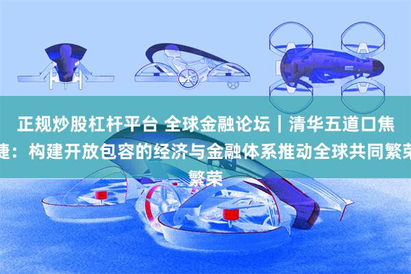 正规炒股杠杆平台 全球金融论坛｜清华五道口焦捷：构建开放包容的经济与金融体系推动全球共同繁荣