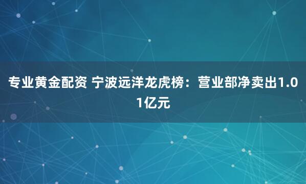专业黄金配资 宁波远洋龙虎榜：营业部净卖出1.01亿元