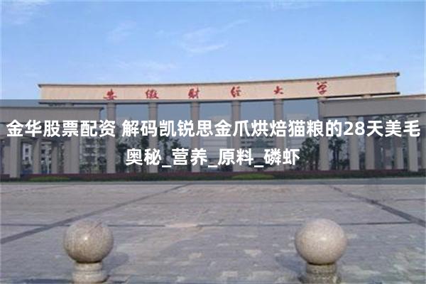 金华股票配资 解码凯锐思金爪烘焙猫粮的28天美毛奥秘_营养_原料_磷虾