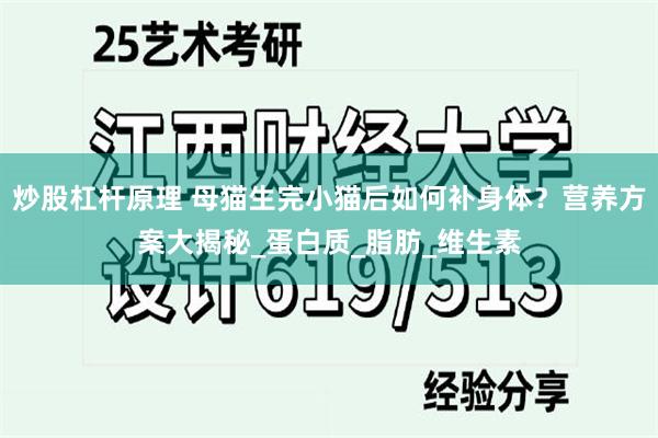 炒股杠杆原理 母猫生完小猫后如何补身体？营养方案大揭秘_蛋白质_脂肪_维生素