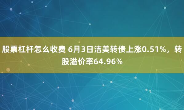 股票杠杆怎么收费 6月3日洁美转债上涨0.51%，转股溢价率64.96%