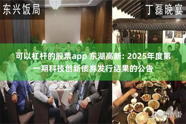 可以杠杆的股票app 东湖高新: 2025年度第一期科技创新债券发行结果的公告