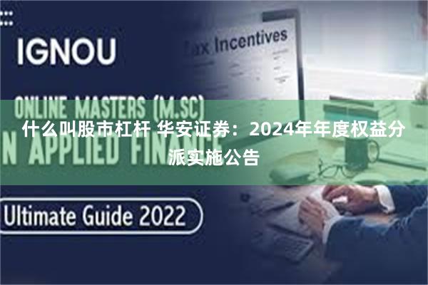 什么叫股市杠杆 华安证券：2024年年度权益分派实施公告
