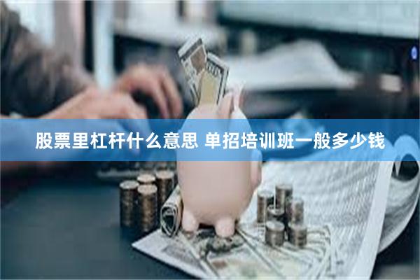 股票里杠杆什么意思 单招培训班一般多少钱